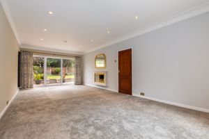 Lounge- click for photo gallery